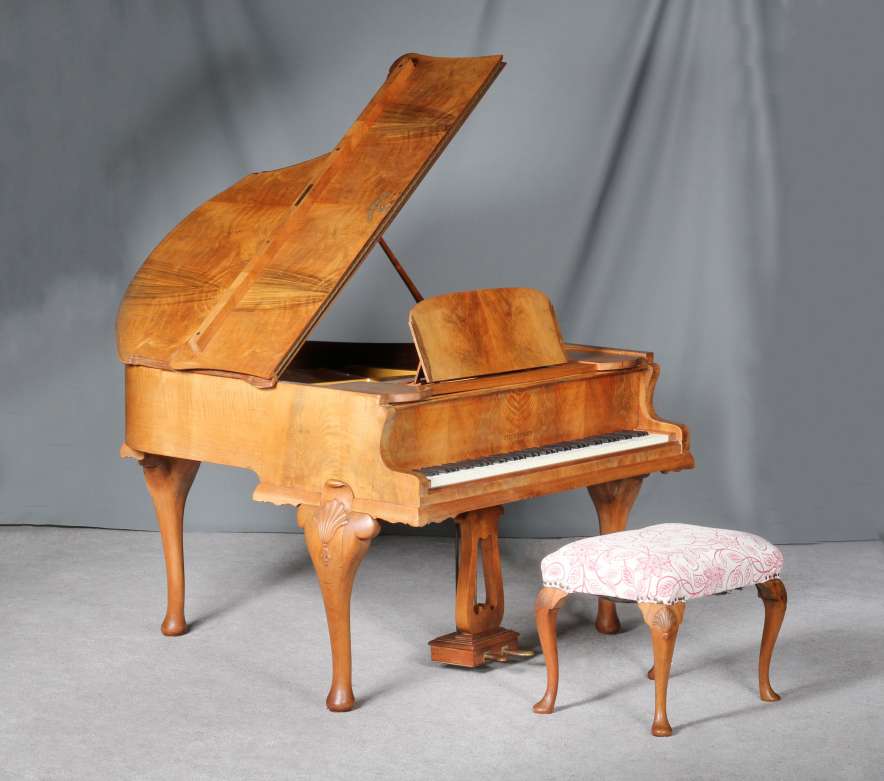 Grand piano Reine des Neiges, Sambro