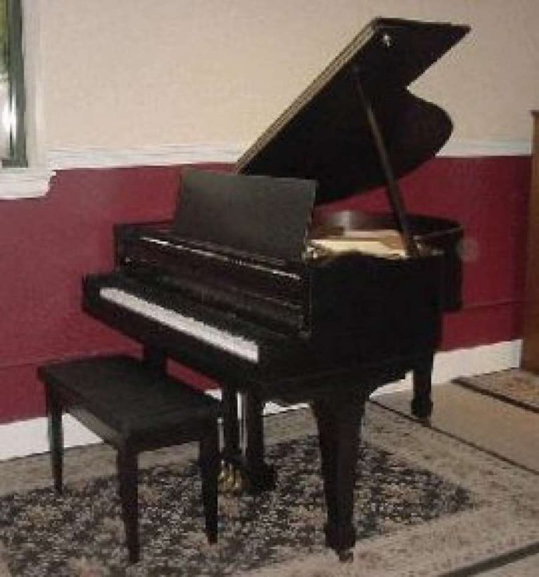 A.B. Chase Ebony Baby Grand Piano - Antique Piano Shop